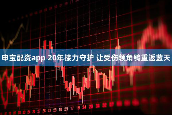 申宝配资app 20年接力守护 让受伤领角鸮重返蓝天