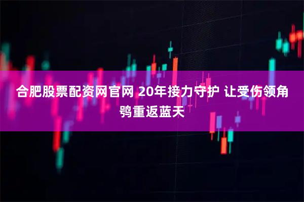 合肥股票配资网官网 20年接力守护 让受伤领角鸮重返蓝天
