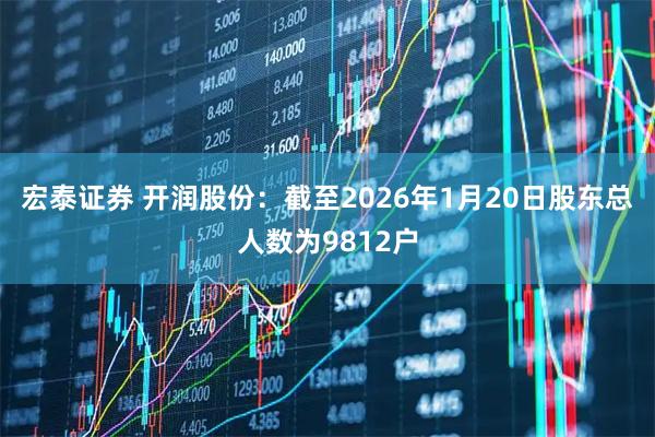 宏泰证券 开润股份：截至2026年1月20日股东总人数为9812户