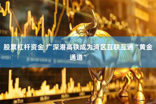 股票杠杆资金 广深港高铁成为湾区互联互通“黄金通道”